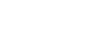 pneumax logo light